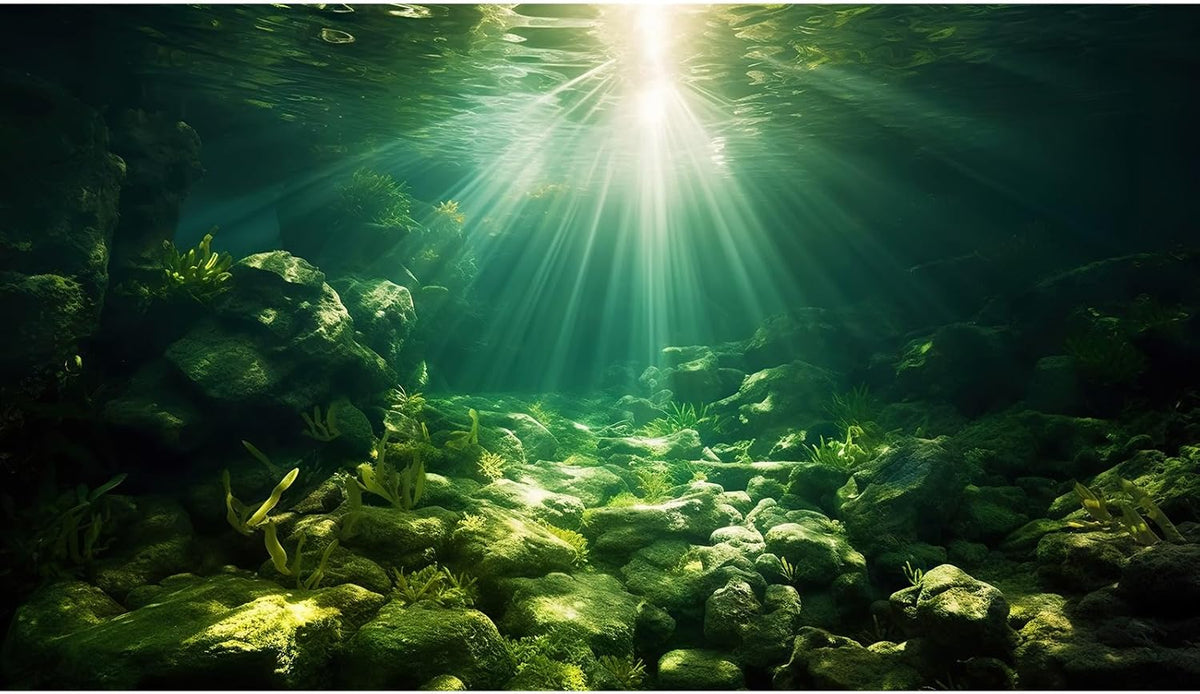 Underwater Sunray Aquarium Background Deep Ocean Rock Cave Fish Tank Background Under The Sea Coral Reef Aquarium Backgrounds Ocean Floor Tropical Fish Terrarium Backgrounds 72x24in