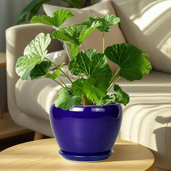 Ceramic Plant Pot 8 Inch - Planter for Outdoor Plants Indoor Plant Pot with Drainage Hole and Saucer Decorative Round Planter Modern Flower Pot for House Decor Blue