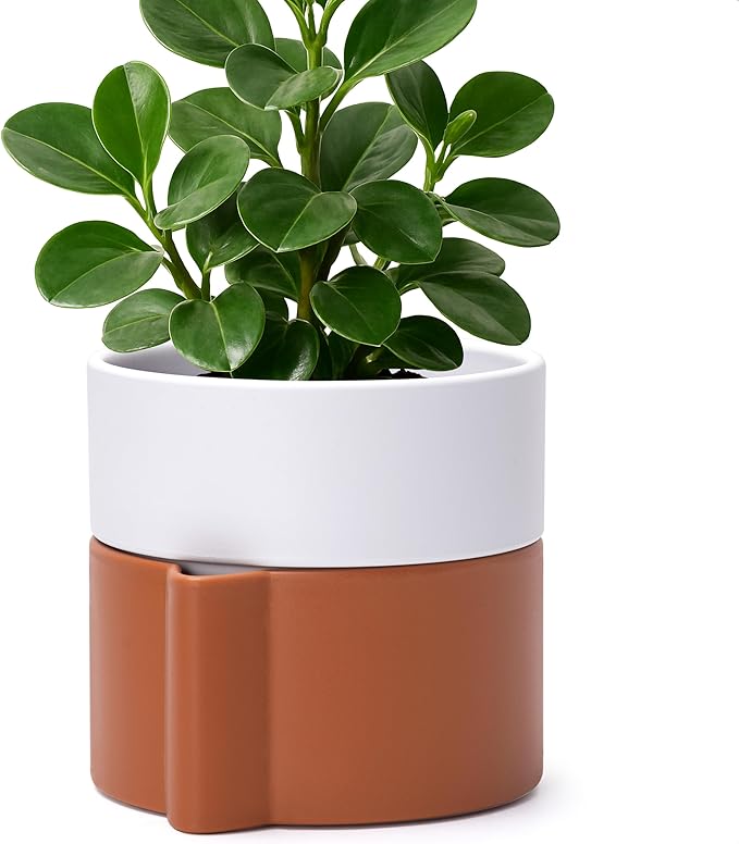 6.5 Inch Self-Watering Planter Pot with Terracotta Insert, Deep Water Reservoir, and Ceramic-Alike BPA-Free Plastic Pot for Plant, Modern Planter for Houseplants, Terracotta/White, 53-B-S-6
