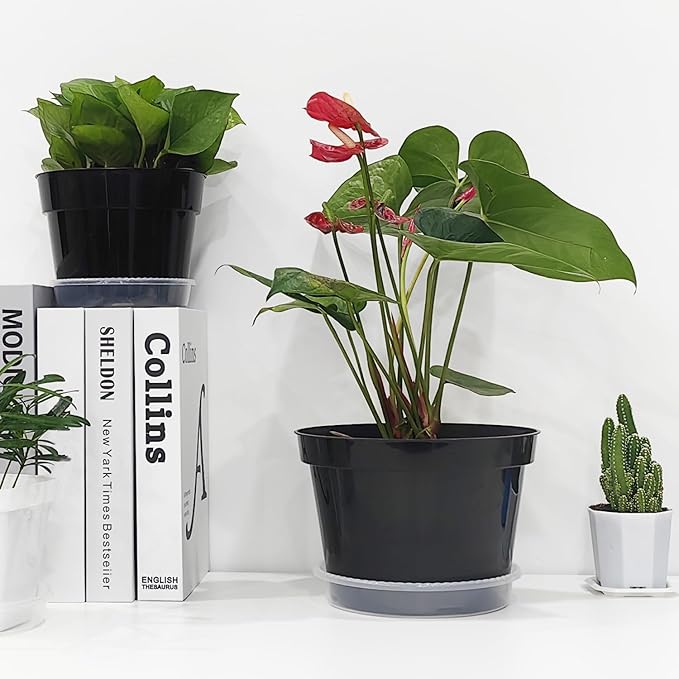 12 Pack Plant Pots, 8 Inch Plant Planter with Clear Saucer, Plastic Pots for Plants Indoor and Out Door Such as Strawberry, Herb and Flowers (Black)
