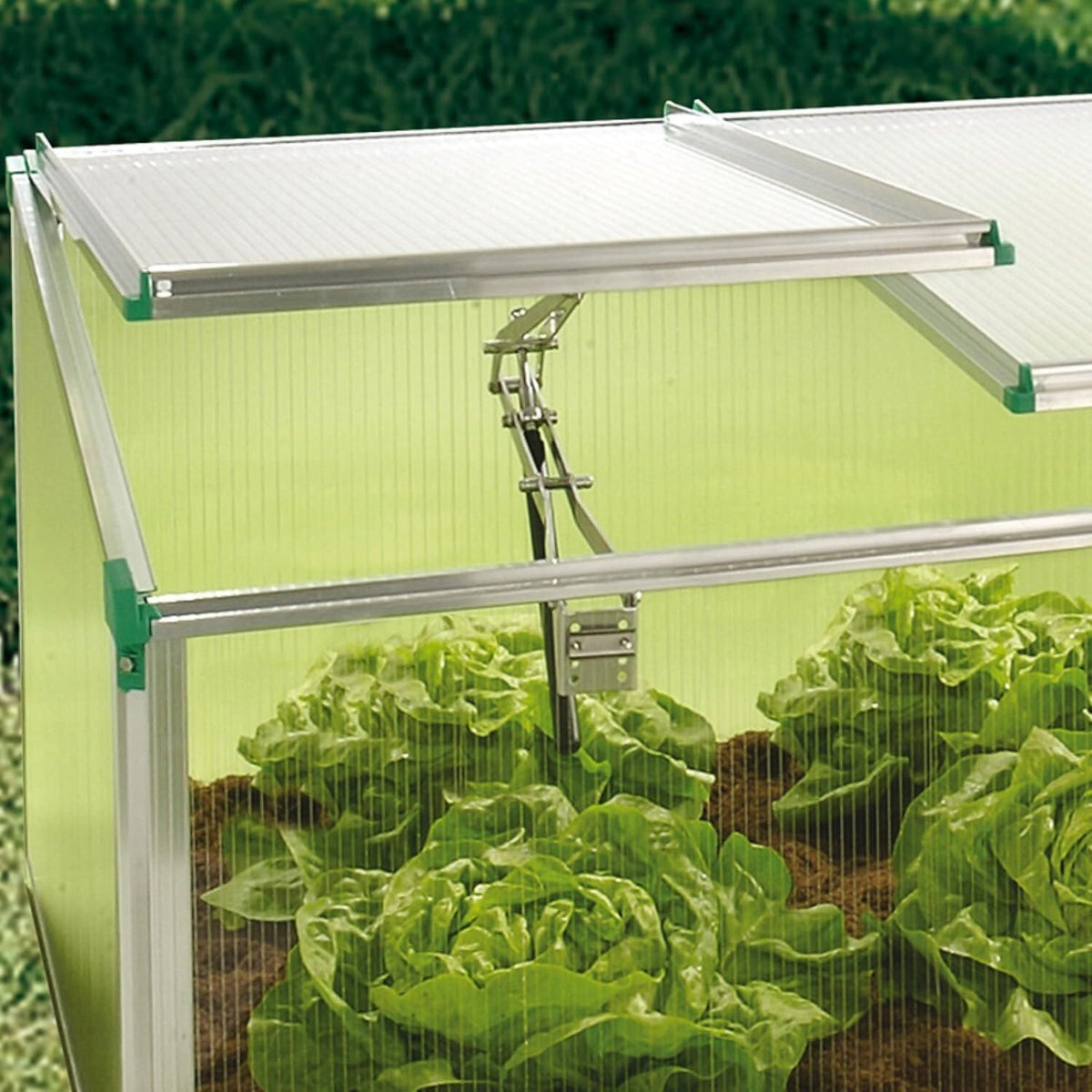 Victorian Cold Frame Gardening Kit - Metal Frame, 3 Windows, 59x32x4 Inches 142