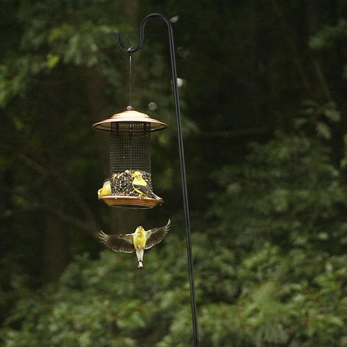 Bird Feeder Pole, 62 Inch & 5/8 Inch Diameter Stainless Steel Heavy Duty Shepherds Hooks for Outdoor to Hang Outdoor Lights with 5 Prongs Base, Rustproof for Garden Decor or Wedding Decors(Black)