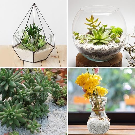 10lbs White Pebbles for Landscaping, 3/8inch Small Rocks for Succulent Cactus Planters, Natural Polished Pebbles, River Rocks for Plants, Vases, Garden