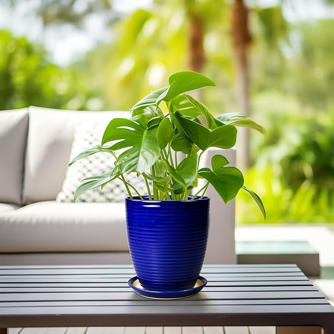 Ceramic Planter Pot - 8 Inch Plant Pot with Drainage Hole and Tray Round Planter Modern Flower Pot for Indoor Outdoor Plants Decorative Garden Pot Blue