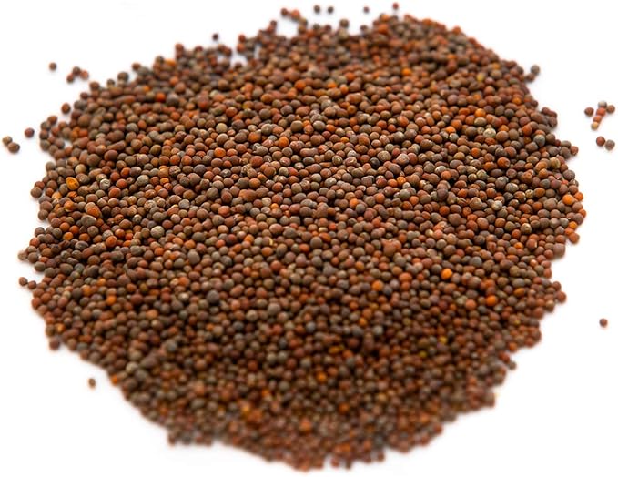 Broccoli Seeds for Sprouting & Microgreens | Waltham 29 Variety | Non GMO & Heirloom Seeds | Bulk 2.5 LB (40 oz) Resealable Bag | Rainbow Heirloom Seed Co.