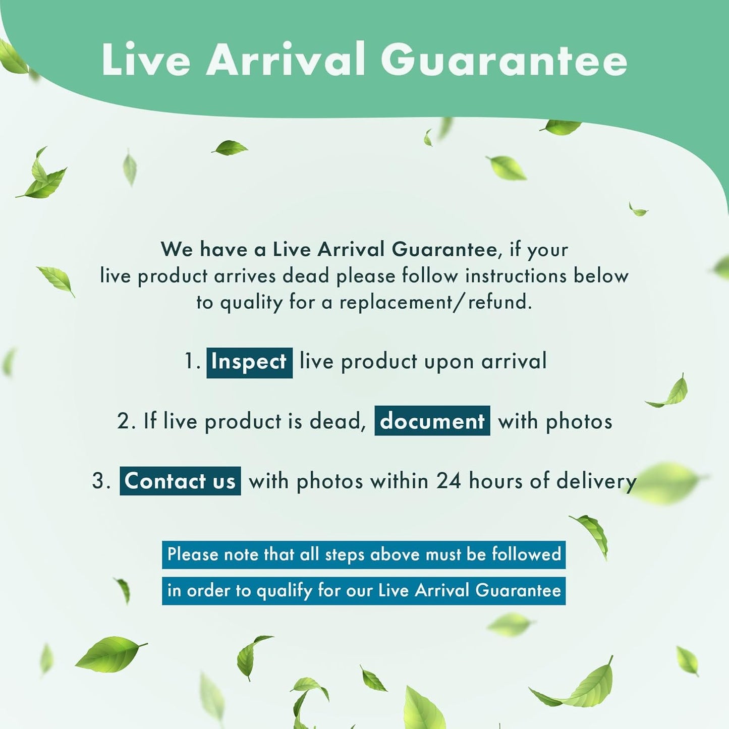 Anubias Live Aquarium Plants - Potted Freshwater Plant for Fish Tanks, Terrariums - Beginner Friendly Low Light (Heterophylla, Mother Plant)