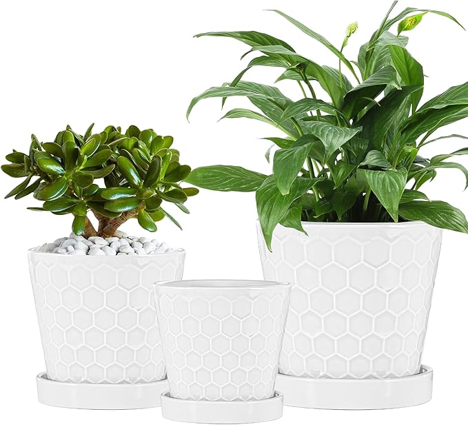 Ceramic Plant Pots,4+5+6 Inch Pots for Indoor Plants,Planters with Drainage Holes and Ceramic Tray, Indoor Flower Pots Gardening Home Desktop Office Windowsill Decoration Gift,Set of 3 (White)