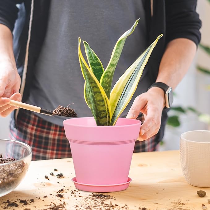 6 inch Small Plastic Nursery Pots, Seedling Pots, 16 Pack Plant Pots for Indoor Outdoor Plants, Flower Pots with Drainage Holes and Saucers, Decorative Planters for House Plants, Colorful