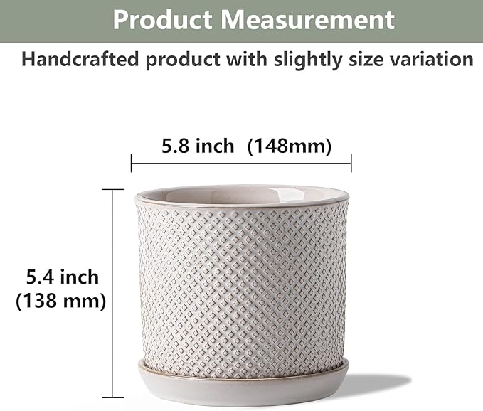 5.8 Inch Plant Pots: Ceramic Planter with Drainage Hole & Saucer - Flowerpot for Indoor & Outdoor Plants - Beaded Embossed Design White - with Separate Tray