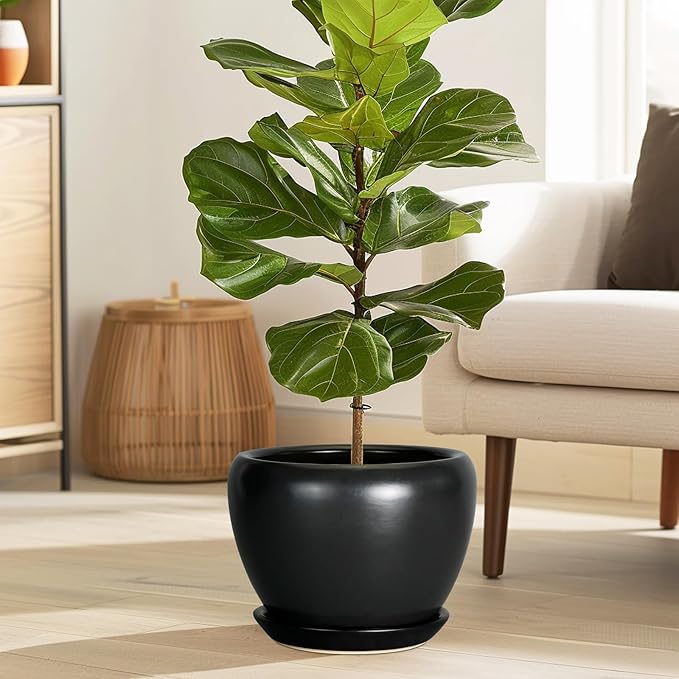 Ceramic Planter Pot - 8 Inch Plant Pot with Drainage Hole and Saucer Round Planter for Indoor Plants Modern Outdoor Flower Pot for House Balcony Black