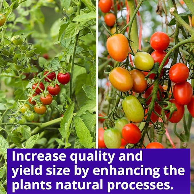 Humboldts Secret Sweet & Sticky – Carbohydrate and Saccharide Energy Source – Enhance Aroma and Flavor of Plants – Potting Soil for Indoor Plants – Energy for Plants – 8 Ounce