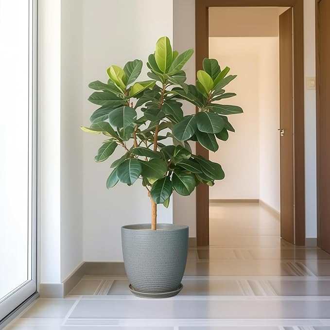 12 Inch Plant Pot, Ceramic Planter Pot with Drainage Hole and Saucer Round Large Flower Pot for Indoor Plants, Light Gray