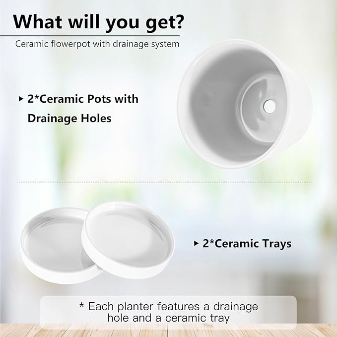 BUYMAX Plant Pots Indoor –6 inch Ceramic Flower Pot with Drainage Hole and Ceramic Tray - Gardening Home Desktop Office Windowsill Decoration Gift, Set of 2(White)