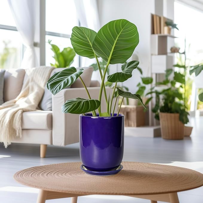 Ceramic Plant Pot - 8 Inch Planter for Indoor Plants Outdoor Flower Pot with Drainage Hole and Saucer Home Patio Office Decor Blue