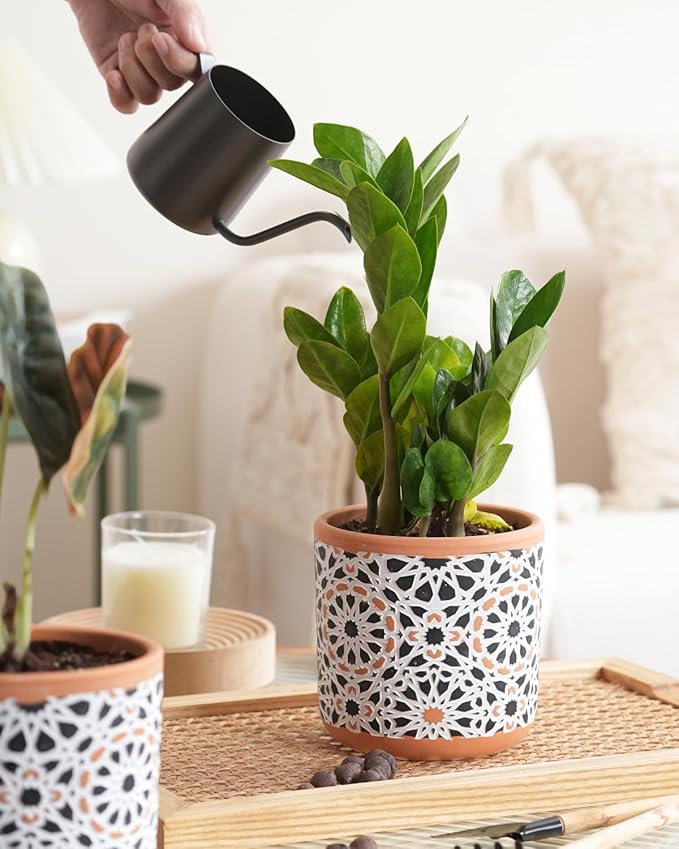 Ceramic Flower Pots for Indoor Plants Set of 2, 5 Inch Boho Plant Pot with Drainage Holes,Modern Planter for Decora Succulents/Snake Plant/Orchid/Peace Lily/House Plants,Terracotta