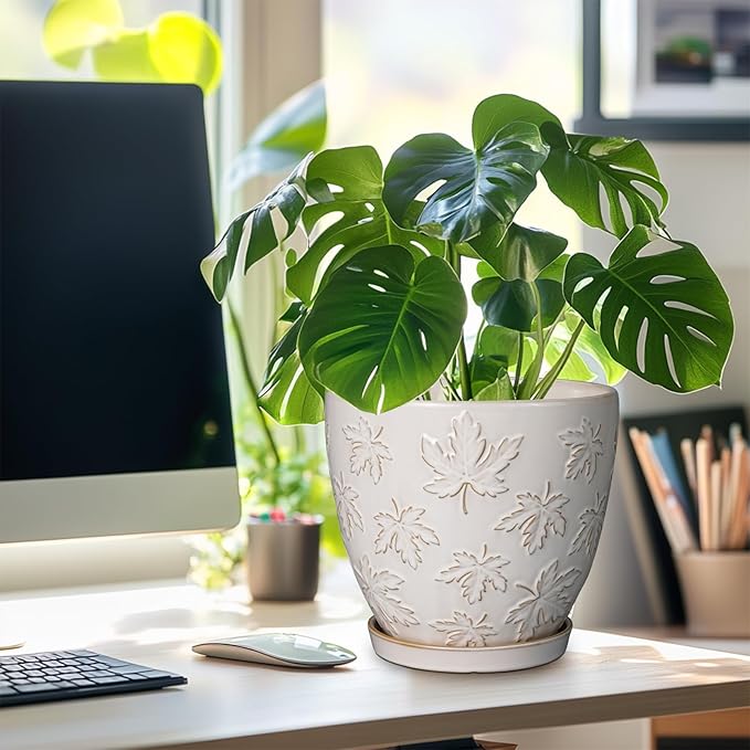 Ceramic Pots for Plants - 8 Inch Plant Pot with Drainage Hole and Saucer Large Planter Pot for Indoor Plants Outdoor Modern Flower Pot Home Decor White