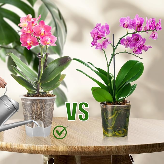 Cdd's Path 5-Pack 6 Inch Self Watering Pots Set with Holes for Indoor/Outdoor Plants,Planter Pot with Watering Hole/Reservior and Air Pipes,Clear