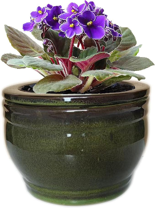 African Violet Pots Self Watering Round Ceramic Violet Pot (Olive drab, 6 inch)