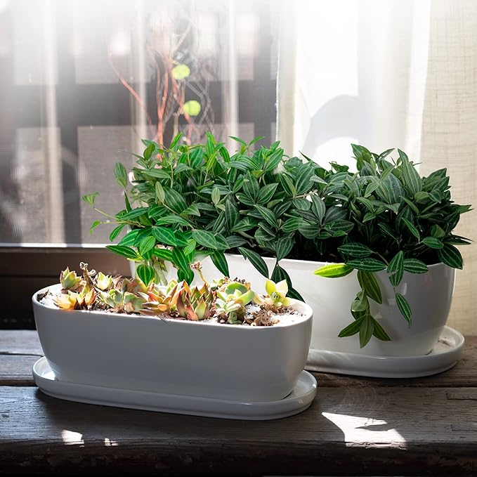 Ceramic Plant Pots, 11+14 inch, Set of 2, Planters with Drainage Holes Saucers and Mesh Pads, Indoor Flower Succulent Pot with Hole Mesh Pad, Gifts for Mom, Plants Not Included