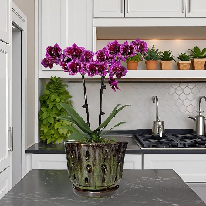 Ceramic Orchid Pots with Attached Saucer and Drainage Hole 6'' Orchid Planter (mossgreen)