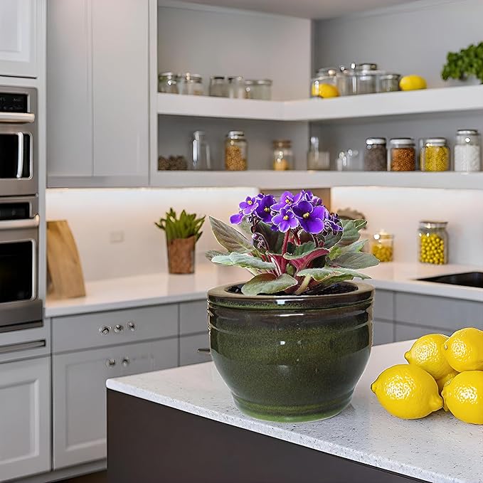 African Violet Pots Self Watering Round Ceramic Violet Pot (Olive drab, 6 inch)