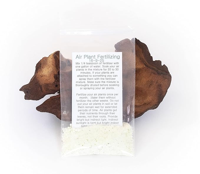 6 Grab Bag Pack Small & Medium Air Plants - Fertilizer Packet - Wholesale - Bulk - Live Tillandsia - Easy Care House Plant - Succulents