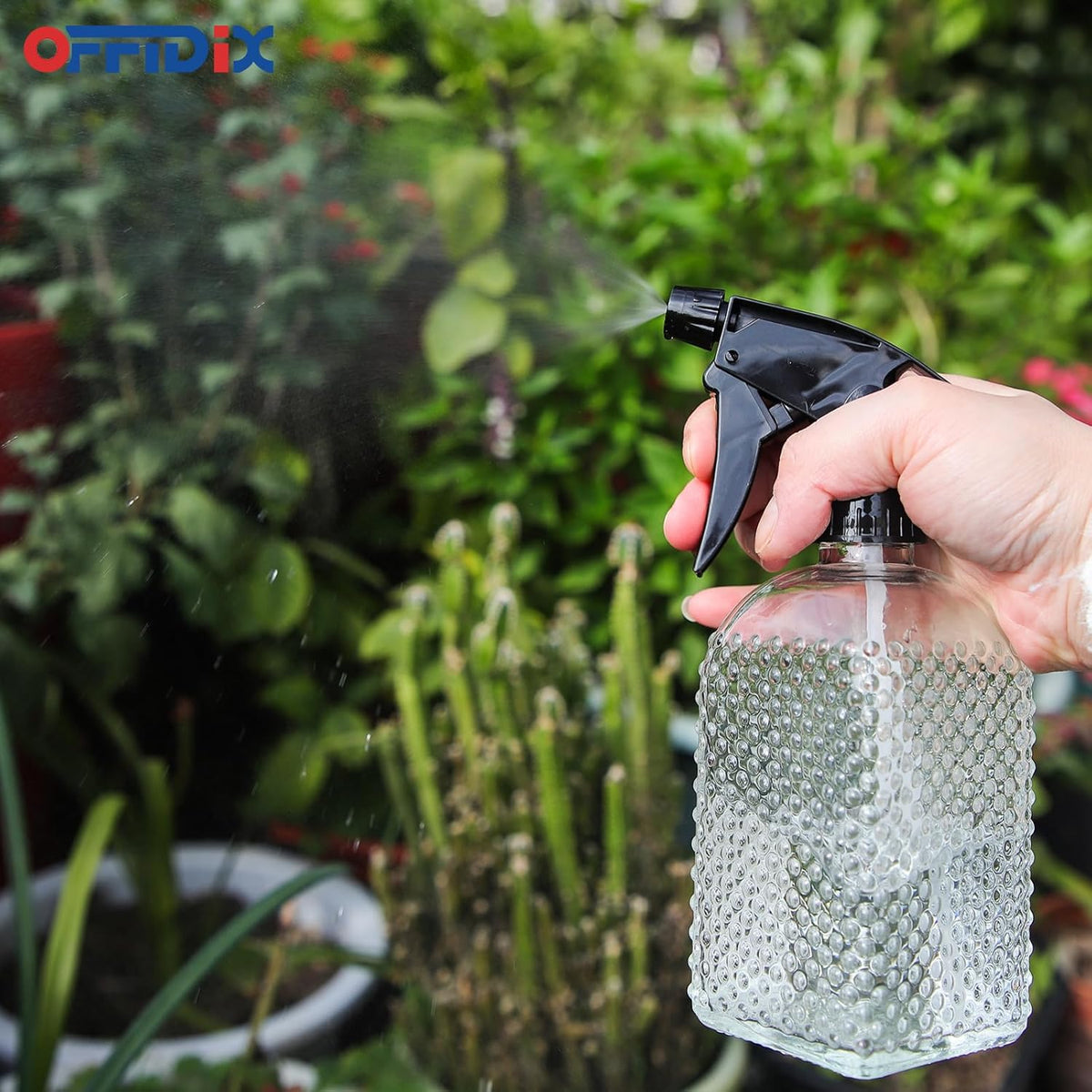 OFFIDIX Glass Plant Mister with Adjustable Nozzle for Indoor Plants and Cleaning