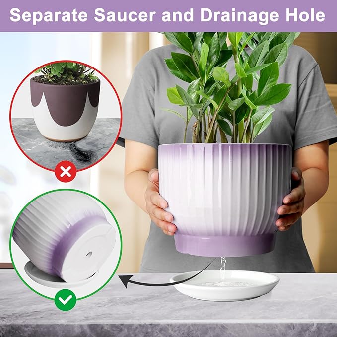 8 Inch Plant Pot, Ceramic Planter with Drainage and Saucer, Ceramic Pots for Plants, Indoor Plant pots,Ceramic Flower pots(Purple + White, Plants NOT Included)