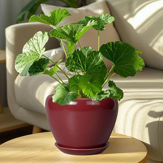 Ceramic Planter - 8 Inch Plant Pot Indoor with Drainage Hole and Saucer Planter for Outdoor Plants Round Flower Pot for House Patio Decor Red