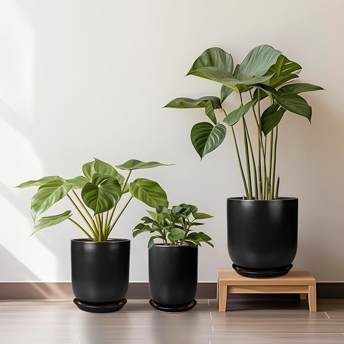 Ceramic Planter 8 Inch - Plant Pot for Indoor Outdoor Plants Cylinder Flower Pot with Drainage Hole and Saucer Black