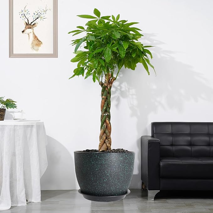 12/10/9 Large Modern Plant Pots, Plastic Planters with Drainage Holes and Saucers for Indoor Outdoor Plants Flowers, Black with Green Speckles