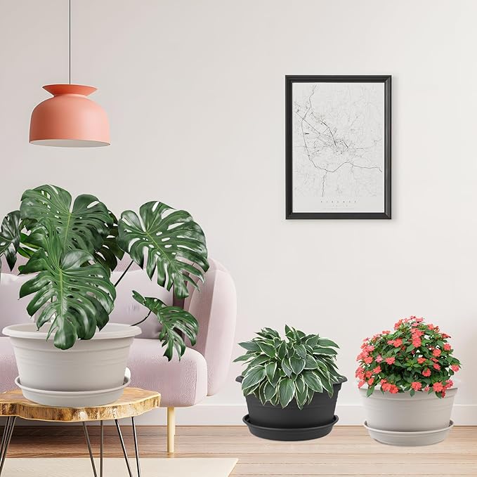 6 Pack 10 inch Plant Pot, Round Plastic Plant Pots, Outdoor Pots for Plants with Drainage Hole & Tray Saucer, Decoration Flower Pots for Indoor Plants Home Garden Outdoor Planters (Grey)