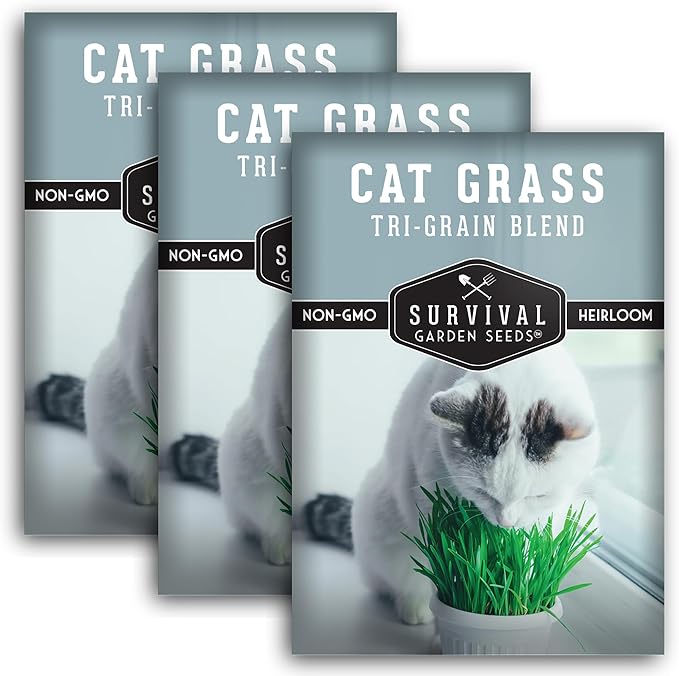 Cat Grass Seed for Planting - 3 Packets with Instructions to Plant & Grow Greens for Your Pet Indoors or Outdoors in a Container or Garden - Non-GMO Heirloom Variety - Survival Garden Seeds