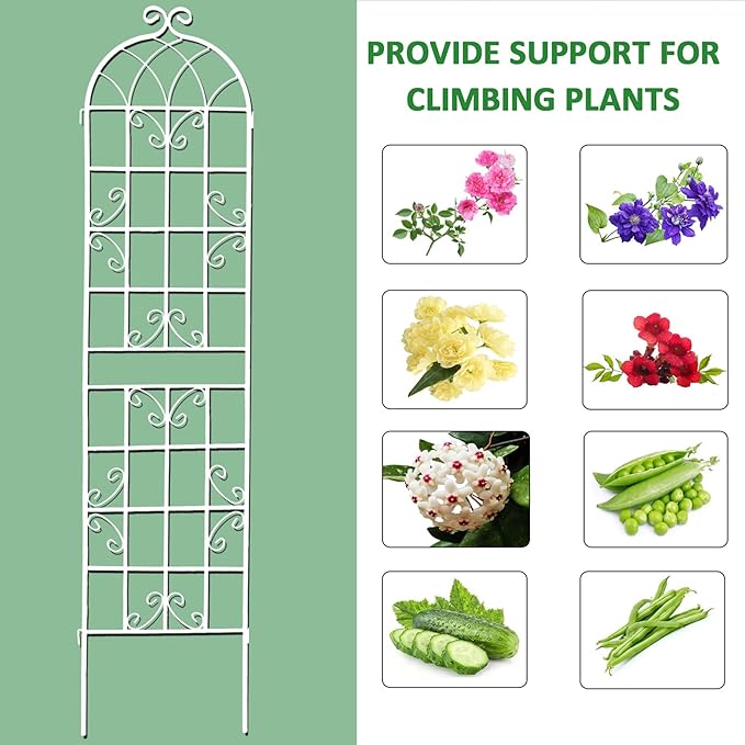 2 Pack Metal Garden Trellis 71" H Fence Rustproof Garden Trellis for Climbing Plants Support Roses Flower Outdoor Lawn, Cream White