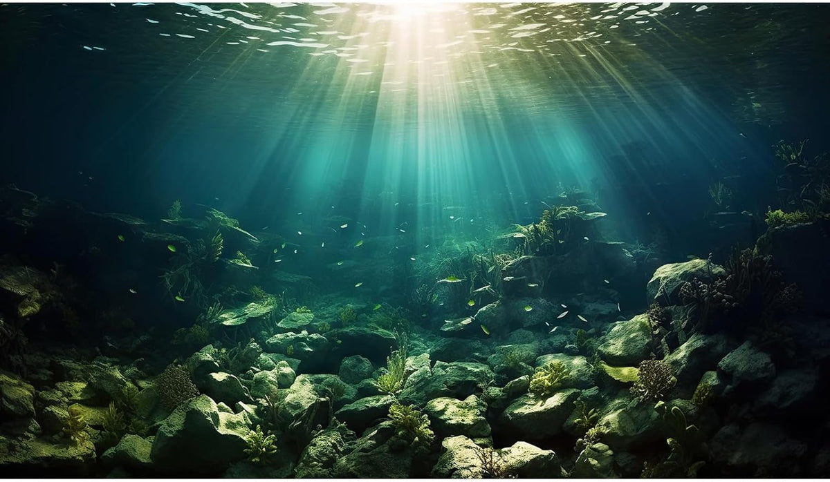 Deep Ocean Aquarium Background Under The Sea Fish Tank Background Underwater World Terrarium Backgrounds Ocean Floor Rock Aquatic Plants Aquarium Backdrop for Fish Tank Backgrounds Decors 24x16in