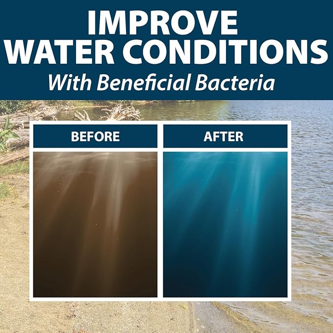 Airmax Pond Dye Plus, Twilight Blue Colorant & Natural Beneficial Bacteria, Large Pond & Lake Water Clarifier & Color Treatment, Shade Plants & Algae from Sunlight, Fish & Livestock Safe, 4 Gallons