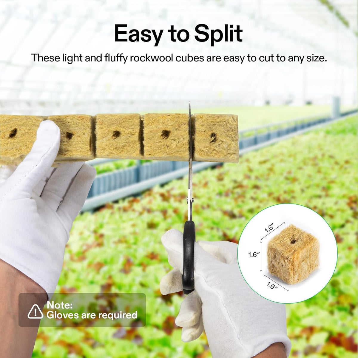 VIVOSUN 1.6" Rockwool Cubes, 28 Plugs Stonewool Starter Grow Cubes for Cuttings, Cloning, Plant Propagation, Seed Starting, Hydroponic Grow Media for Vigorous Plant Growth, 1 Sheets of 28 Plugs