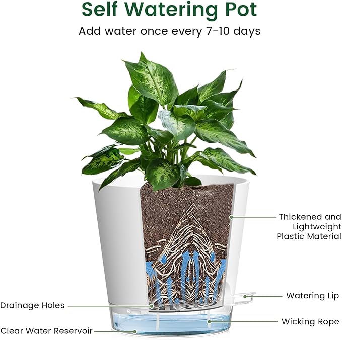 6 inch Self Watering Pots for Indoor Outdoor Plants, 6 Pack Flower Plant Pots with Drainage Holes and Clear Reservoirs, Visible Water Level, Plastic Planters with Wicking Rope, White