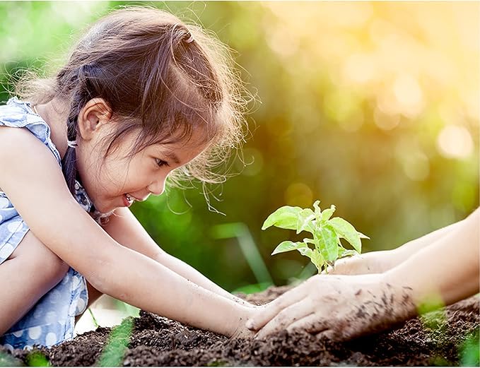 All Natural Seed Starter Mix for Fast Germination and Vigorous Seedlings with Strong Root Systems for Indoor Home Gardens, 12 Quart Bag