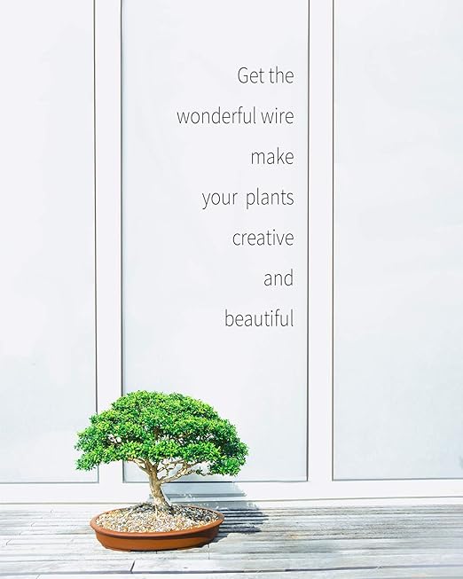 Bonsai Wire, 6 Sizes of 1mm, 1.5mm, 2mm, 2.5mm, 3mm, 4mm Black Aluminum Wire, Total 152 Feet Bonsai Tool Kit, 300 Grams Bonsai Tree Wire for Bonzai Trees Indoor by MoHern