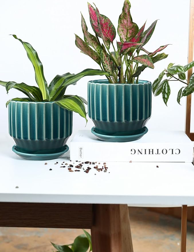 AISBUGUR Plant Pots 6 inch Ceramic Pots for Indoor Plants Set of 2 Flower Pots Unique Crackle Glaze Design Plant Pots with Drainage Hole and Saucer Come with Drainage Nets (Aqua Green)