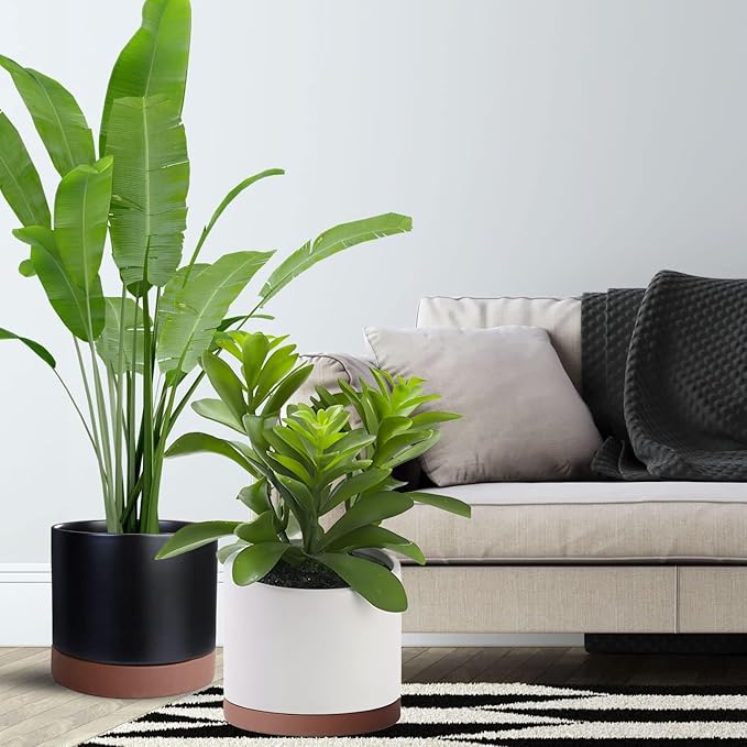 Ceramic Plant Saucer Pot Tray 10 Inch, Planter Saucers 4 5 6 7 8 9 10 11 12 13 Inch for Indoors Outdoor, Durable Sturdy Flower Drainage drip Water Tray for Glazed Pots Base (10.7 Inch-Brown)