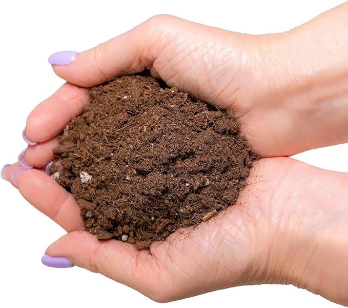 Citrus Tree Potting Soil Mix, Special Blend for Indoor Oranges, Lemons, Limes and More - (1 Quart Bag)