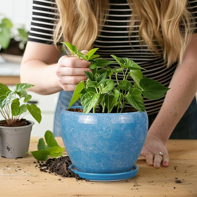 6 Inch Plant Pot - Ceramic Planter Pot with Drainage Hole and Saucer, Glaze Succulent Pot Modern Round Flower Pot for Indoor Plants, Blue