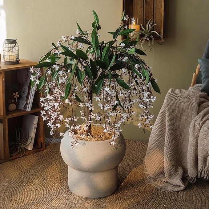 12.5" H x 14" Dia Large Concrete Planter-Heavyweight Outdoor Cement Flower Pot with Mushroom-Shaped Design for Patio, Garden, Porch, or Indoor Use-Modern Decorative Plant Container