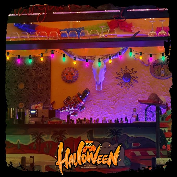 C7 LED Multicolor Christmas Lights, 25Ft with 27 Orange Green Purple Bulbs, Hanging Vintage Outdoor Christmas Decorations for Roofline Garden Patio Holiday Backyard