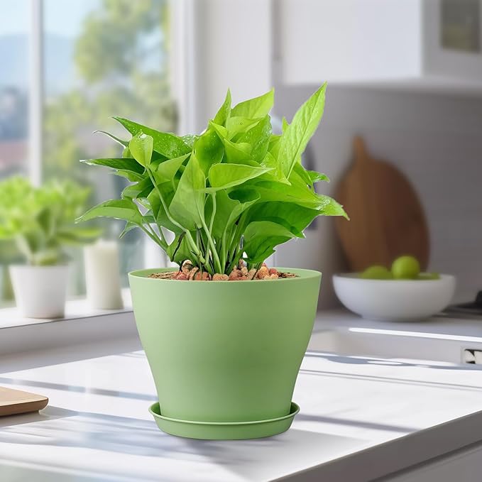 6 inch Plastic Nursery Pots, Seedling Pots, 16 Pack Plant Pots for Small Indoor Outdoor Plants, Flower Pots with Drainage Holes and Saucers, Decorative Planters for House Plants, Green