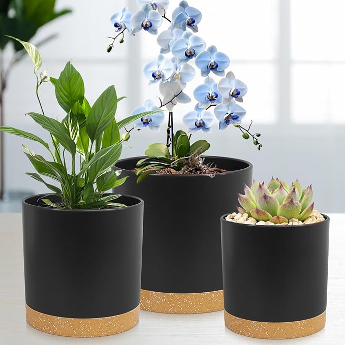 3 Pack 6/5/4 inch Cylindrical Flower Pots, Modern Small Round Plastic Plant Pots with Drainage Holes & Saucers, Clean and Refined Planter Pots for Outdoor, Indoor & Office Decor (Black Brown)