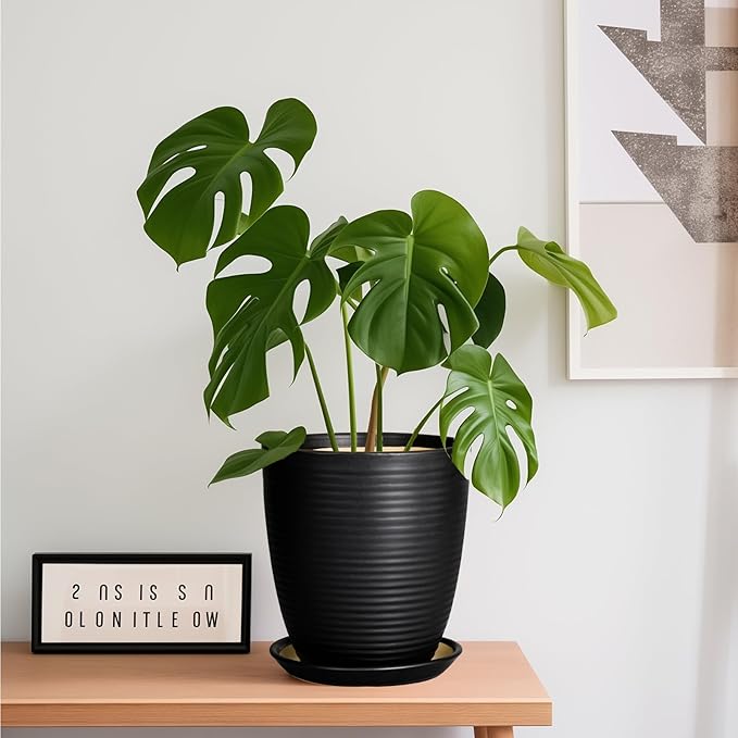Ceramic Plant Pot - 8 Inch Ceramic Planter for Indoor Plants Glazed Round Flower Pot with Drainage Hole and Saucer Black
