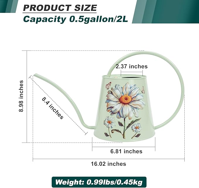Berry&Bird House Plants Watering Can - Indoor&Outdoor 1/2 Gallon Stainless Steel Water Can with Long Spout Garden Decoration for Flower Bonsai Succulent Gardening Large Water Bottle (Bellis Perennis)